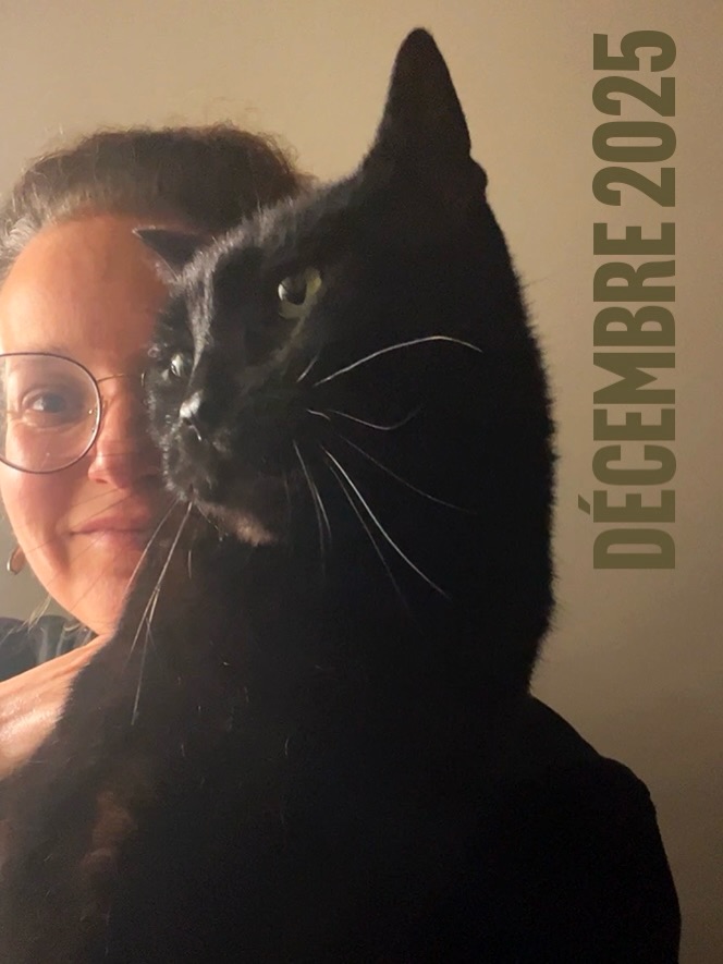 1️⃣2️⃣ Décembre 2025 ! Dernier récap de l’année, j’ai réussi à tous les faire depuis le mois de janvier !
Pour ce dernier mois de l’année, des expos, des balades, des invaders, du sport , un mois avec l’essentiel !
#december #decemberwrapped